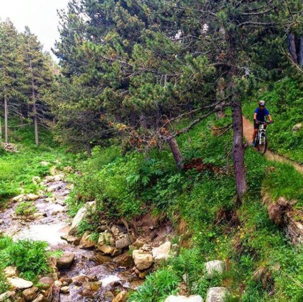 La Pradella Bolquere Pyrenees 2000 Apartment Екстериор снимка